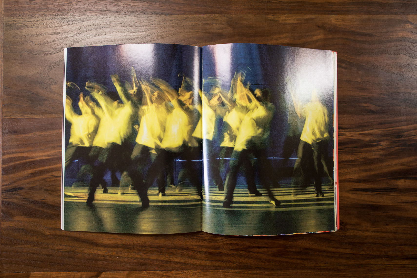 Celine Dion "a New Day..." souvenir program